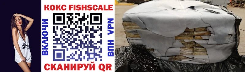 COCAIN Fish Scale Кирсанов