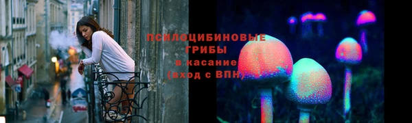 соль ск Касимов