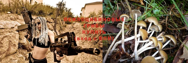 мяу мяу кристалл Карталы