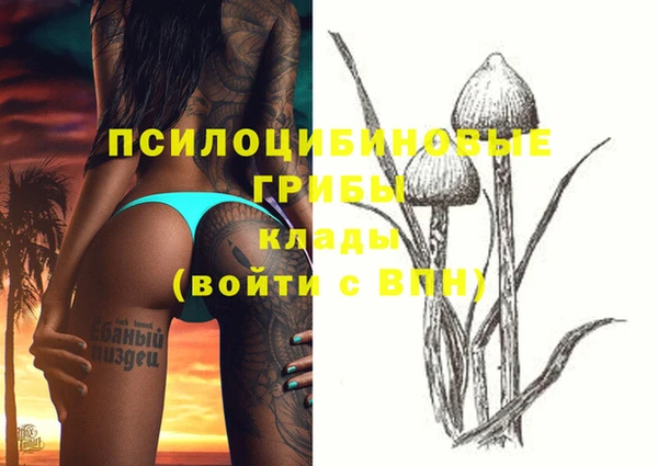 спайс Кинешма