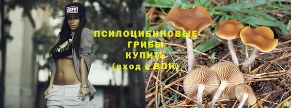 мескалин Киреевск