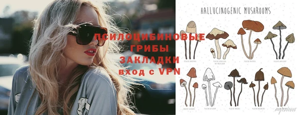 спиды Карпинск