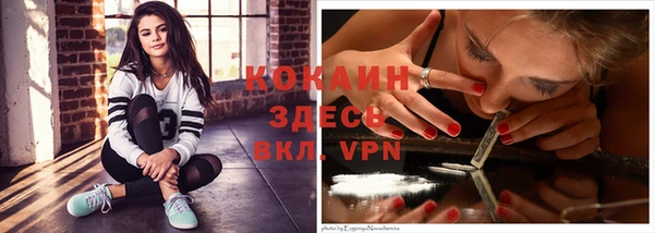 соль ск Касимов