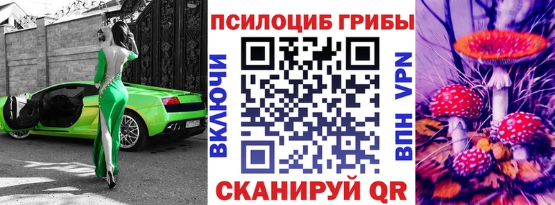 Купить где  Кирсанов  Галлюциногенные грибы мухоморы 